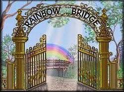 the rainbow bridge poem the beautiful