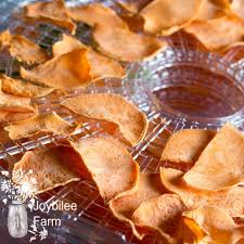 tasty chips with a food dehydrator