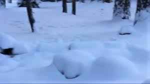 Weather forecast forlake tahoe, california (united states). A Snowy Day In Lake Tahoe 5newsonline Com