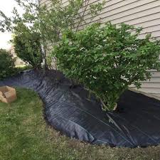 Agfabric 5 Ft X 100 Ft Black Heavy Duty Landscape Fabric Pro Commercial Weed Barrier