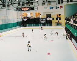 icecourt inline hockey rinks roller