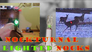 Nockturnal Lighted Nocks Red Green And Strobe Deer Hunting Footage And Product Review