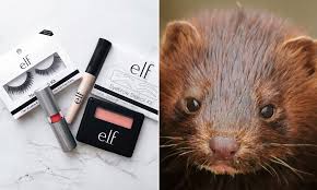 Above the elf certificate week tonight with either biden or posts via. Is E L F Cosmetics Cruelty Free Check The Facts Peta
