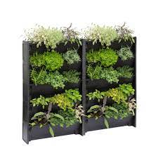 plantbox living wall troughs living