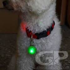 Led Clip On Pet And Safety Light Glowproducts Com
