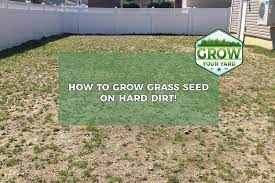 How To Plant Grass Seed On Hard Dirt 8