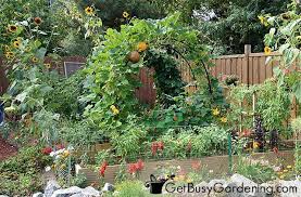 How To Design A Vegetable Garden Layout Get Busy Gardening