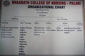Bsc Nursing College Diploma Nursing College Nursing