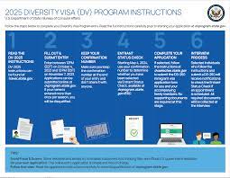 diversity visa instructions