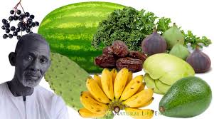 Dr Sebi Nutritional Guide Mucus Reducing Alkaline Diet