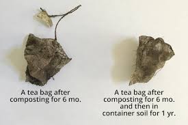 the problem with plastic in tea bags