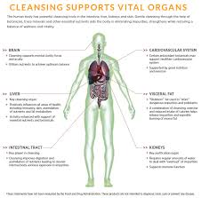 cleanse for life nutritional
