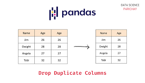 pandas drop duplicate columns from