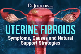 I would notice things sort of roll off my back rather than stick to does anyone know if keto does anything for anxiety or was this more about me feeling in control since i had my diet u under wraps? Uterine Fibroids Symptoms Causes And Natural Support Strategies