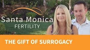 Check spelling or type a new query. How To Find A Surrogate Mother Premium Surrogacy