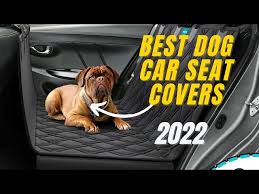 Top 4 Best Dog Car Seat Covers 2022