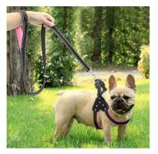 The french bulldog owner website works as a participant in the amazon services llc. 10 Most Expensive Harnesses For French Bulldogs 10 Best French Bulldog Harnesses In 2019