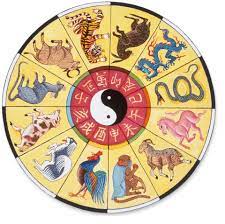 People eat 'auspicious food' during the new year period. Chinese New Year Facts For Kids Dk Find Out