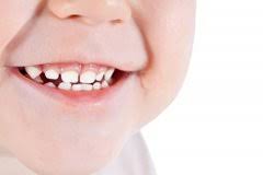Tooth Development Dental Health Foundation