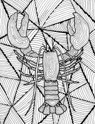 Free printable lobster coloring pages available in high quality image and pdf format. Lobster Adult Coloring Page Adult Coloring Sheet Colouring Sheet Pdf Adult Colouring Printable C Bead Embroidery Adult Coloring Pages Coloring Pages