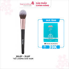 blusher brush ip04