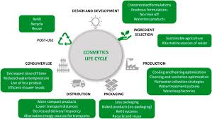 a sustainable life cycle for cosmetics