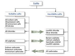 4 Soluble And Insoluble Salts Igcse Chemistry
