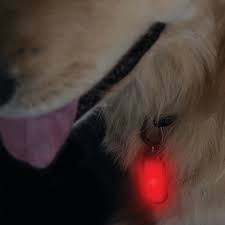 Life Gear Night Walker Glow Led Pet Safety Clip Light Dog Training Behavior Accessories Petsmart