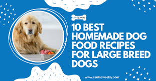 homemade dog food recipes for large dogs