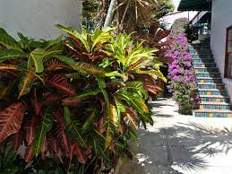 palm beach gardens florida