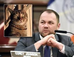 If you live near to a railway, the nearest station may have records of animals found on the track. Nyc Council Speaker Corey Johnson S Cat Goes Missing Is Found New York Daily News