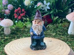 Miniature Gnome Fairy Garden Fairy