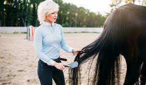 3 easy diy horse detangler recipes