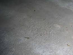 Pitted Or Spalled Garage Floor