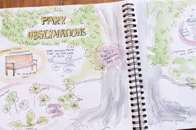 starting a garden or nature diary to