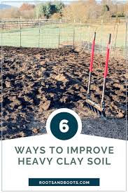 6 Tips For Gardening In Heavy Clay Soil