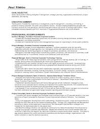    Curriculum Vitae Objective Statement Examples Resume For    