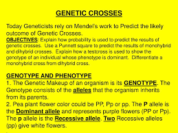 genetic crosses powerpoint presentation