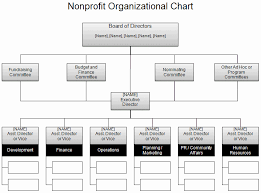 Non Profit Organizational Chart Template Lovely Free