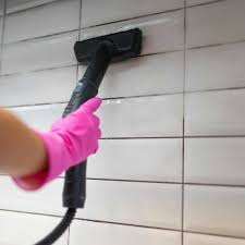 how to steam clean bathroom grout in