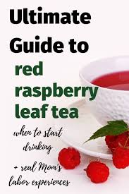 raspberry leaf tea benefits for