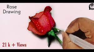 to draw rose 3d rose sd drawing
