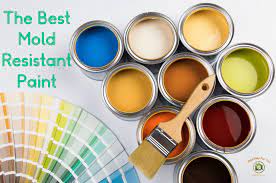 The Best Mold Resistant Paint Mold
