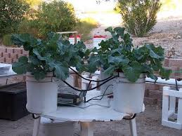 easy to build hydroponic drip system