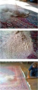 larson oriental rug cleaning