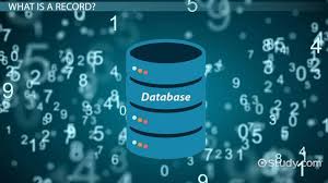 database record meaning exles