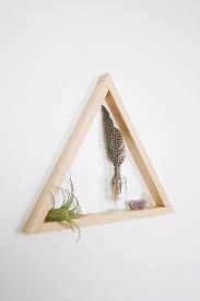 Foxtail Moss Diy Wood Triangle Shelf