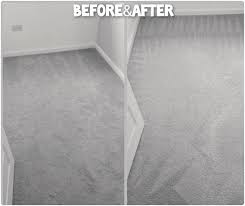 carpet cleaning banora point 02 8074