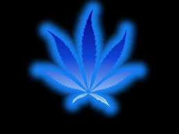 blue weed wallpapers top free blue