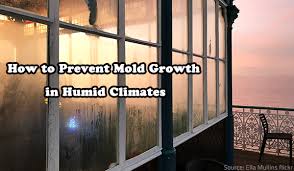 Prevent Mold Growth In Humid Climates